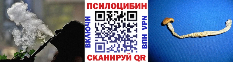Галлюциногенные грибы MAGIC MUSHROOMS  Купить  Свободный 